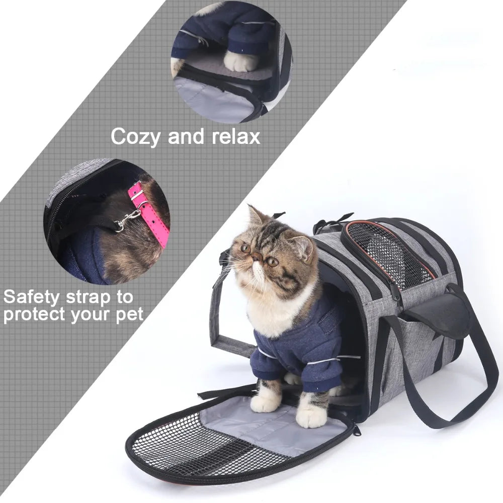 Multi-functional Pet Carrier